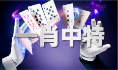 <b>一码到底什么意义 - 一码到底什么意义老版下载</b>